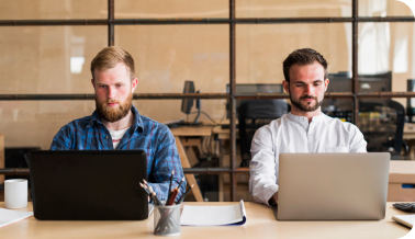 Professional IT Services